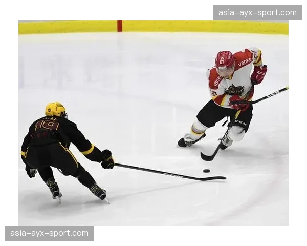 特写：冰球赛场上演全武行，两名球员被双双罚下